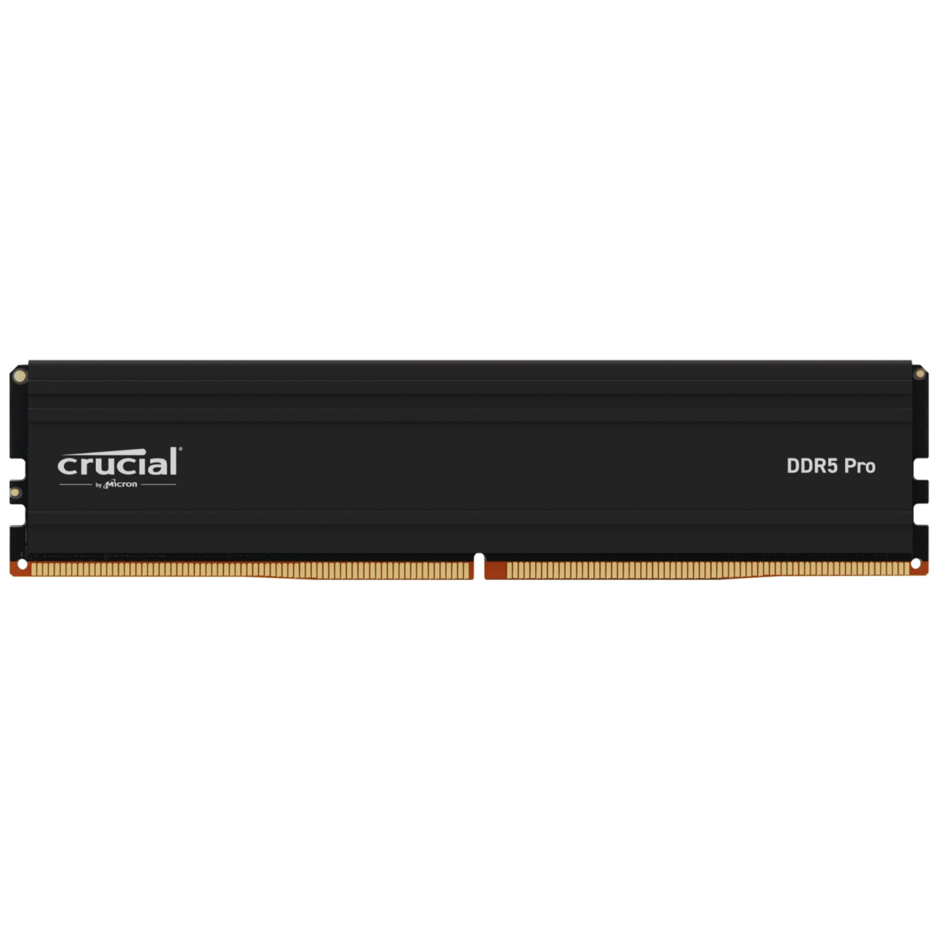 Crucial CP24G60C48U5 Speichermodul 24 GB DDR5 6000 MHz