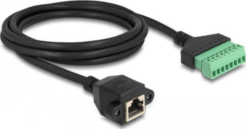 DeLOCK RJ45 Kabel Cat.6 Buchse zu Terminalblock Adapter zum Einbau 2 m 2-teilig