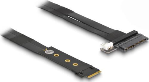 DeLOCK M.2 Key M zu U.2 SFF-8639 NVMe Adapter mit 20 cm Kabel