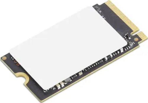 Lenovo 4XB1N36071 Internes Solid State Drive M.2 256 GB PCI Express 4.0