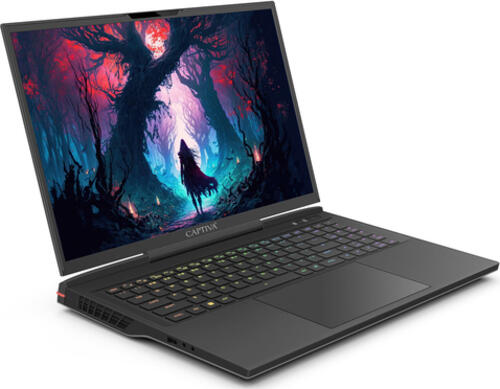 CAPTIVA Highend Gaming I81-480 Intel Core i9 Laptop 43,9 cm (17.3) WQXGA 16 GB DDR5-SDRAM 2 TB SSD NVIDIA GeForce RTX 4070 Wi-Fi 6 (802.11ax) Schwarz