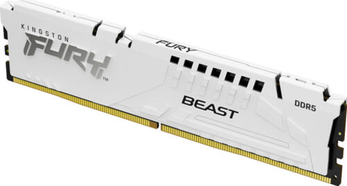 Kingston Technology FURY Beast 16 GB 6400 MT/s DDR5 CL32 DIMM White EXPO