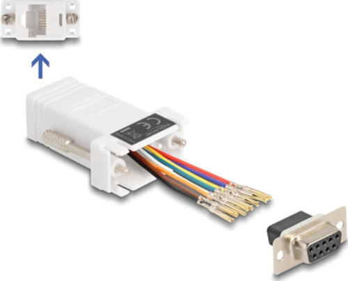 DeLOCK D-Sub 9 Pin Buchse zu RJ45 Buchse Montagesatz weiß