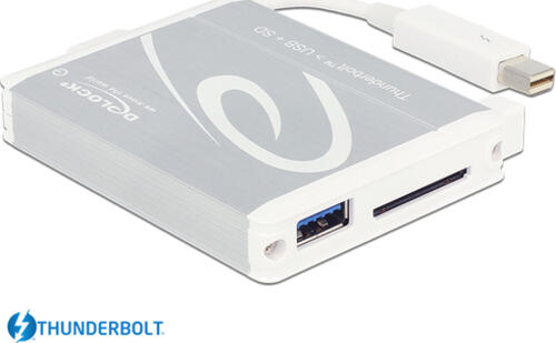 DeLOCK 91723 Kartenleser Thunderbolt 2/USB 3.2 Gen 1 (3.1 Gen 1) Silber, Weiß