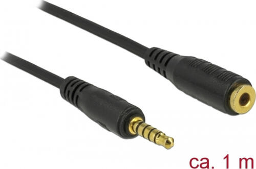 DeLOCK 85701 Audio-Kabel 1 m 3.5mm Schwarz