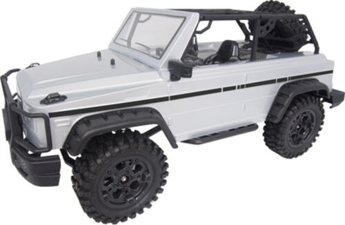 Amewi Surpass Wild ferngesteuerte (RC) modell Off-Road-Wagen Elektromotor 1:10