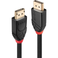 10m Lindy 41078 DisplayPort-Kabel